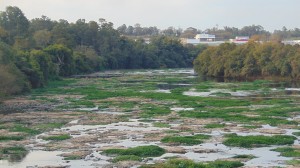Garantir a disponibilidade e gestão sustentável da água e saneamento para todos (o que não tem sido praticado por exemplo em relação ao rio Piracicaba, na foto do final de agosto): um dos prováveis ODS pós-2015