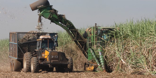 Nova lei, etanol de segunda geração e dutoviário Uberaba-Paulínia reforçam biocombustíveis