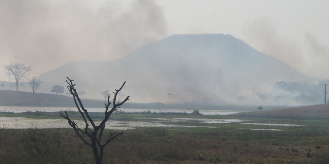 Brasil tem mais de 4 mil queimadas em dois dias e metade acontece no Cerrado