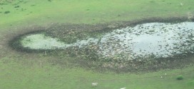 Observatório do Clima: vitória de Lula evita tragédia, mas clima e meio ambiente ainda não estão a salvo