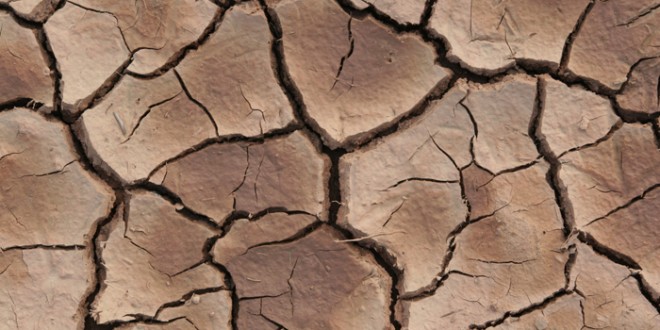 Crise hídrica, ODS, solo, última chance para o clima: o ambiente em 2015