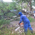 Funcionário da Prefeitura de Campinas trabalha no Centro de Convivência em função de queda de árvore (Foto ASN)