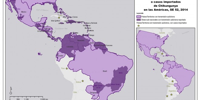 Américas tiveram 22 mil casos de Chikungunya em 2014 e um terço foi na fronteira com Brasil