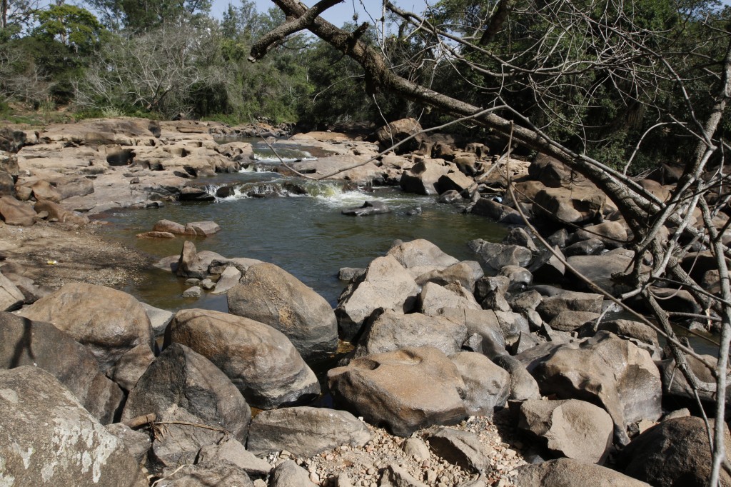 Rio Atibaia em momento crítico de 2014: vazão depende da liberação de águas do Cantareira (Foto Adriano Rosa) 