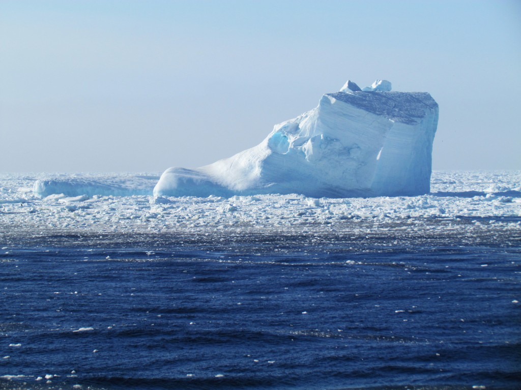 Área dominada por muito gelo e iceberg, à nordeste da Península Antártica, sob influência do Mar de Weddell. Foto de 17/02/2015 (Foto Camila Signori)