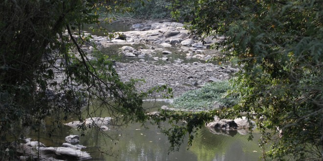 Elementos tóxicos encontrados nas águas dos rios paulistas em 2014