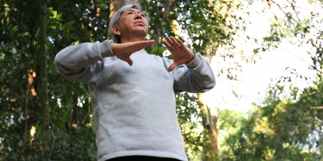 Voluntário compartilha vida e energia com exercícios de Lian Gong no Bosque dos Jequitibás