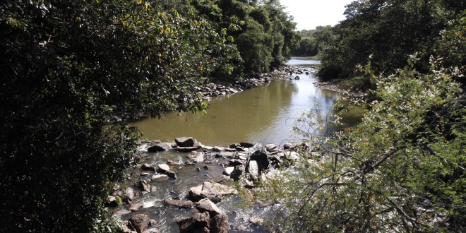 Região de Campinas tem 345 áreas inscritas em banco para restauração ecológica