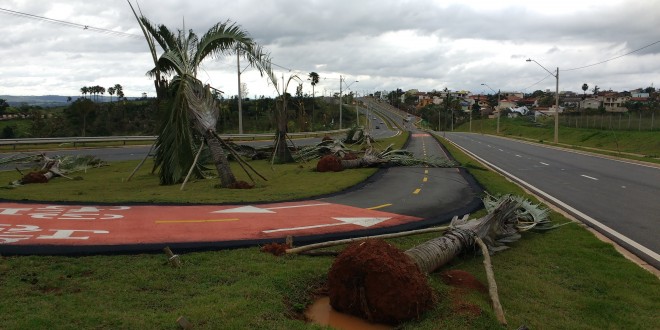 Câmara de Campinas debate medidas para atender vítimas de microexplosão semelhante a tornado