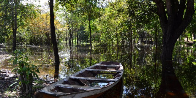 Exposição fotográfica na Unicamp mostra a vida na Reserva sustentável do Tupé, na Amazônia