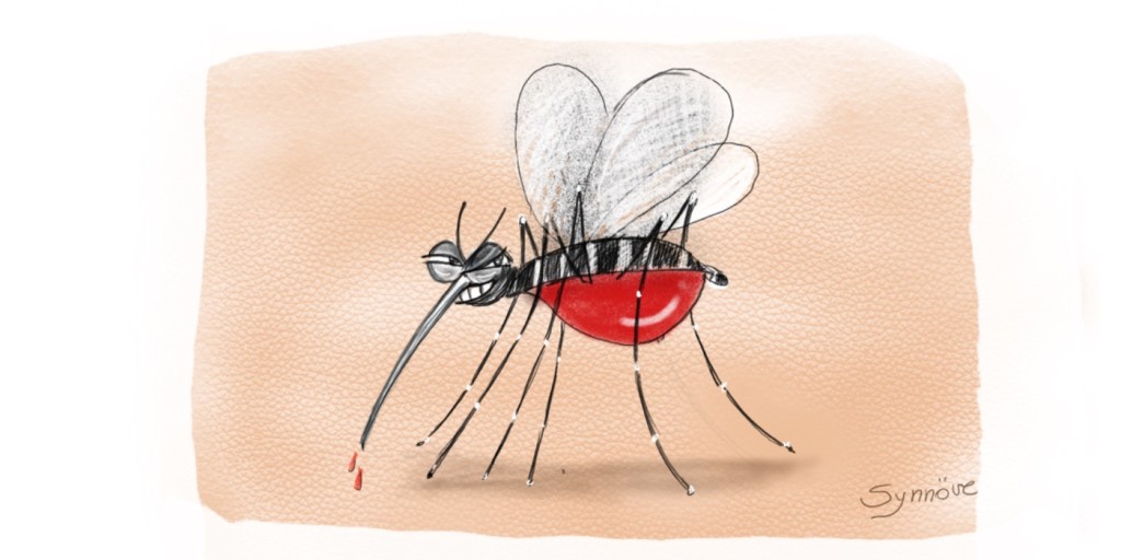 Campinas e dengue, por Synnöve Hilkner