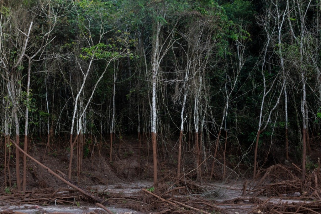Impactos na bacia do Rio Doce são monitorados até hoje (Foto Isis Medeiros)