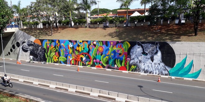 Mural que celebra a rica biodiversidade da Mata Atlântica já está pronto na região central de Campinas