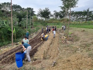 Plantio pelo sistema de agrofloresta no Sítio Vale das Cabras