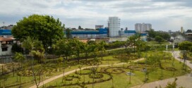 Dia da Terra é comemorado com nova instalação de obra de arte em parque de São Paulo