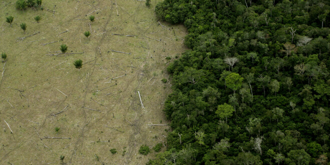 70% dos consumidores temem que o aquecimento global se transforme em um problema maior, revela Getty Images