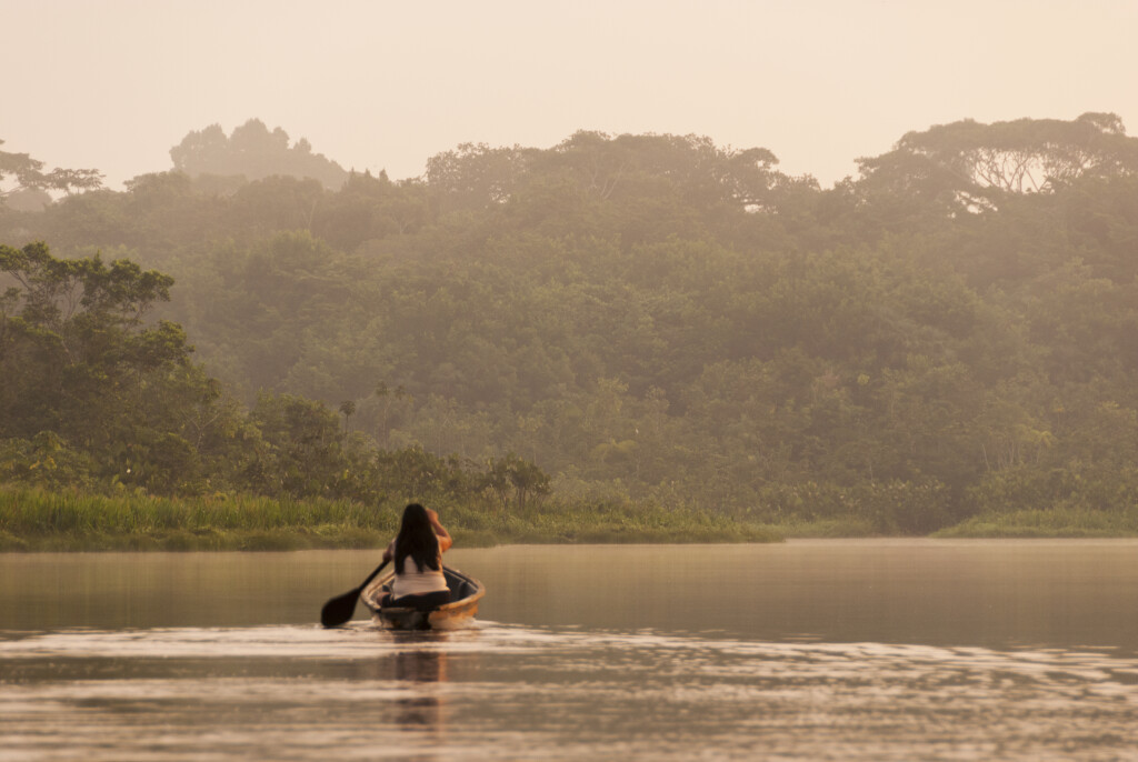 Tendências de pesquisa e download da Getty Images também refletem o interesse das empresas em promover recursos visuais de energia ecologicamente corretos (Foto Divulgação/Getty Images)