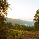 Serra do Japi, área remanescente de Mata Atlântica (Crédito: Divulgação/Consórcio PCJ)