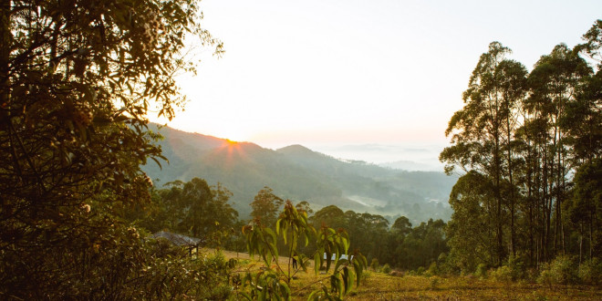 Projeto na Serra do Japi consolida ações de conservação e recarga hídrica com impactos em Jundiaí e região