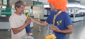 Campinas abre o Maio Amarelo 2026 nesta terça, 5 de maio