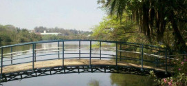 Cultura próxima da Natura em Campinas