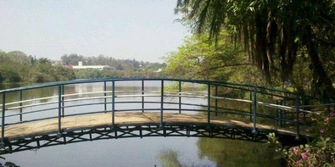 Cultura próxima da Natura em Campinas
