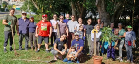 FÓRUM SOCIOAMBIENTAL DE CAMPINAS ARTICULA AGENDA DE AÇÕES SOCIOAMBIENTAIS E MOBILIZA POPULAÇÃO NA SEMANA DA ÁRVORE