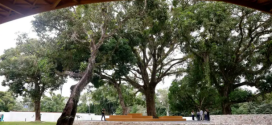 80 anos do Sesc, o Brasil inteligente